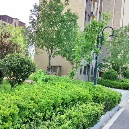 Yunshuiyao · Yellow River Homestay (Qihe County Quancheng Oulebao)