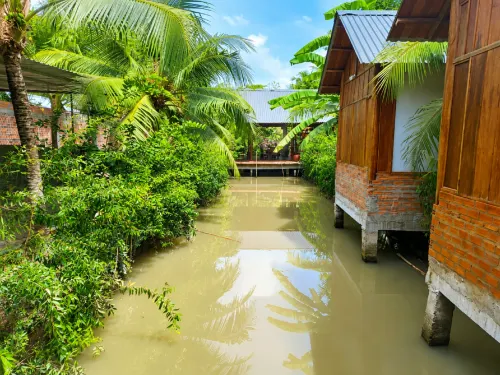 Homestay Nha Cua Gio - Homestays