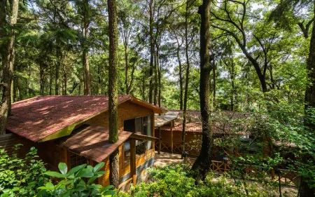 Yuntao Hotel Отели в г. Аньнин