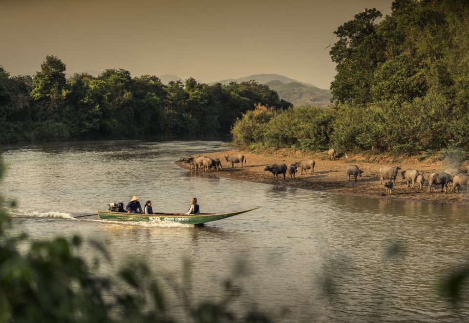 Four Season Tented Camp Golden Triangle Over view