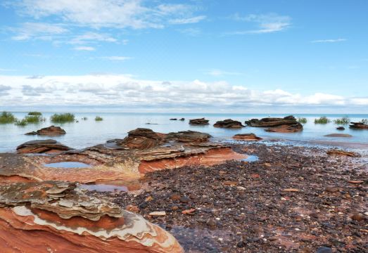 오크스 브룸 내부