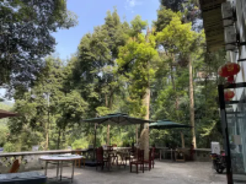 蜀南竹海忘憂雅居客棧