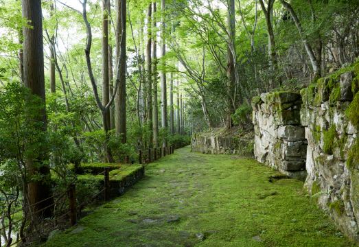 아만 교토의 석조 정원