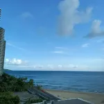 Shajiao Bay Seaview Hotel - Ocean View