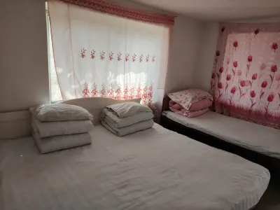 Fengcheng Xinle Homestay