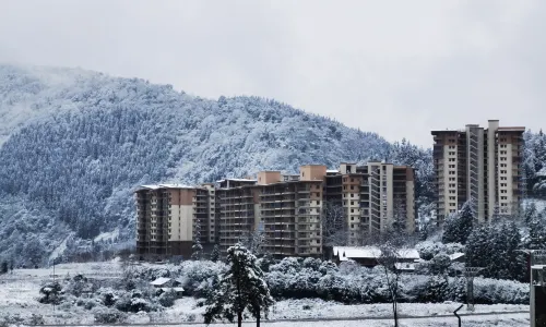 롱창고우 테이블 마운틴 블랙스톤 홀리데이 홈스테이