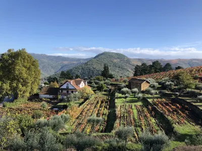 Quinta Vila Rachel - Winery Hotels in der Nähe von Chafariz de Alijó