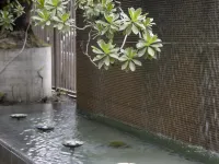 체크 인 셀렉트 화롄 린센 파 이스턴 백화점 주변 호텔