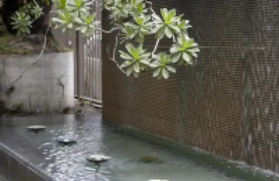 CHECK inn SELECT Hualien LinSen Hotels near Huadong Valley