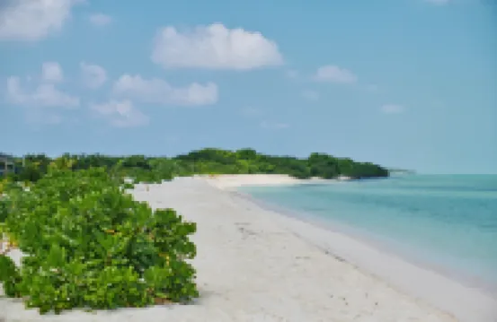 阿拉艾克海灘村 酒店