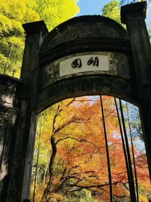 莫干山頤園·易經學大師的百年別墅 - 廚房