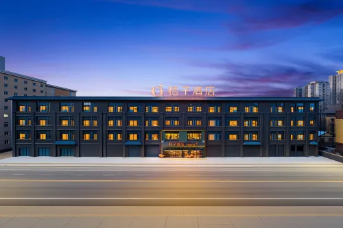 Juzi Hotel (Xi'an Xiaozhai Shaanxi History Museum Branch)