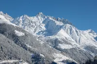 Chalet le Moulin: quiet, nature, fireplace, view