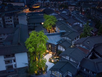 Panda Hotel (Dujiangyan Irrigation System Scenic Area & South Bridge)
