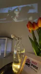 Ixora Coliving Lifestyle Homestay Hotels in Batu Berendam