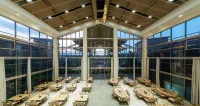 Golden Shining Gulf Hot Spring Resort Hotel - breakfast