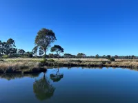 Pelican Point Sanctuary