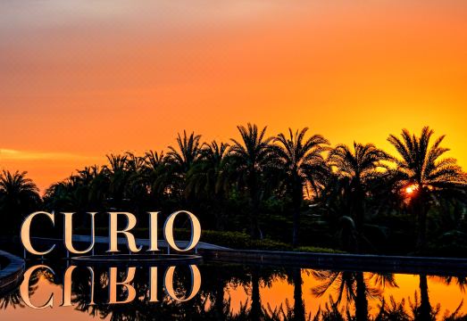 큐리오 컬렉션 바이 힐튼의 인테리어