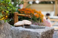 LUSH HOSTEL 수자오징 고거 주변 호텔