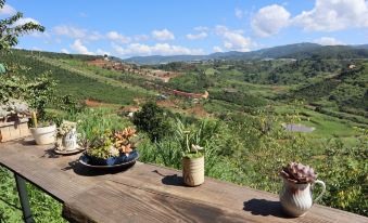 Midori Coffee Farm