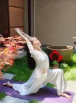 Xinan Hermitage Ancient House Hotel - Fitnessstudio