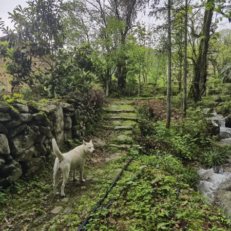 Longshan Village Zhuge Homestay