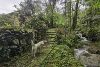 Longshan Village Zhuge Homestay - Vuoristonäköala