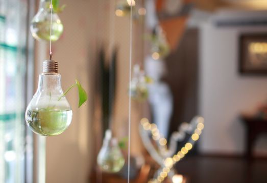 컬리난 호텔 객실