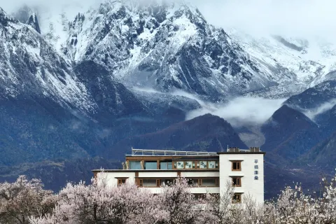 Pingcuokangsang Xuelitaohua Vacation Manor