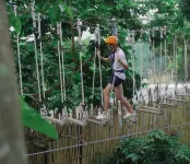 The Ravine by One Selah