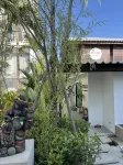 Lis Hotel Chiangmai - parcheggio