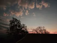 Sanwen Guesthouse in Wengji, Jingmai Mountain