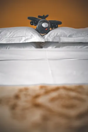 Xi'an Runtian Hotel Отели рядом с достопримечательностью «Xi'an Aeronautical Polytechnic Institute»