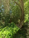 Dunhuang Jinshayuan Homestay (Mingsha Mountain Yueya Spring)