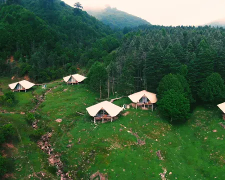 Great Love · Seasonless Ranch (Shenmu Lei) Hotel a Baoxing