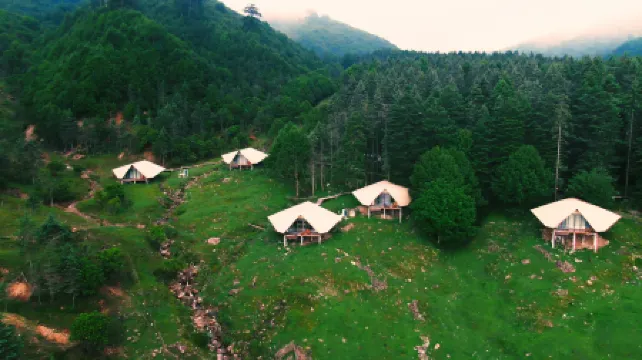 Great Love · Seasonless Ranch (Shenmu Lei)