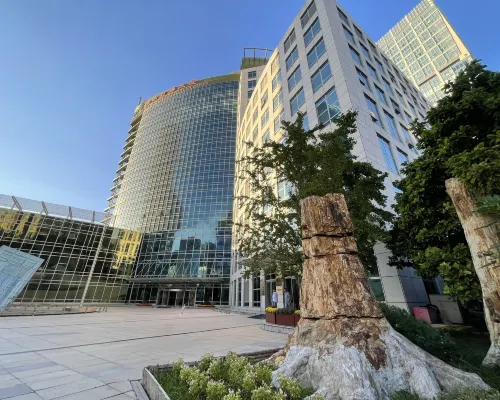 إنترناشونال بامبو آند راتان تاور Hotels near وانغ جينغ