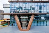 qingsiyunzhu - Esports