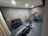 Ailefen Manor Guestho - Gym