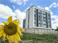 Starline Hotel Hotels in Dodoma