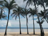 Puerto Del Sol Beach Resort and Hotel Club - Strand