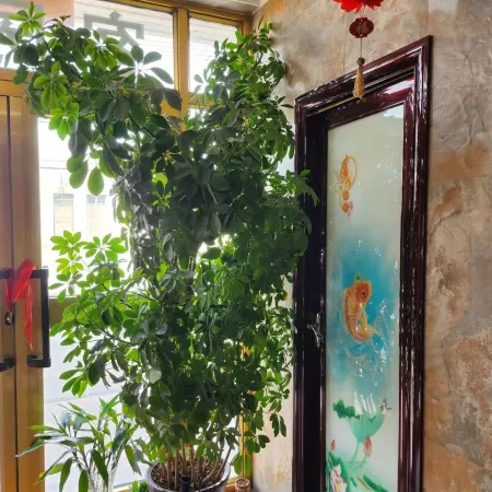 Shanshan Friendship Hotel