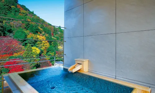 Arima Onsen Gekkoen Korokan