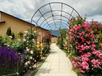 Hana no Yado Yumefuji 【Adults only】 Hotels in Fujikawaguchiko