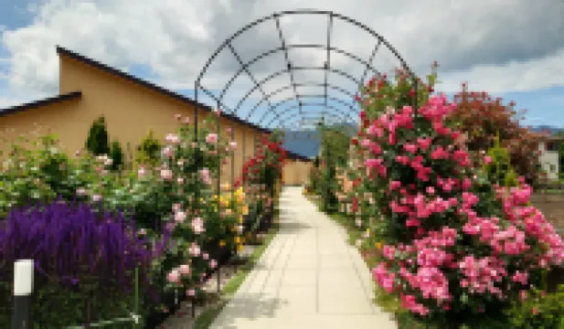 花の宿 夢富士【大人のみ宿泊可能】