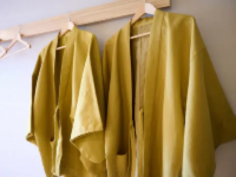 Royal Hotel Kawaguchiko Hotels in Fujikawaguchiko