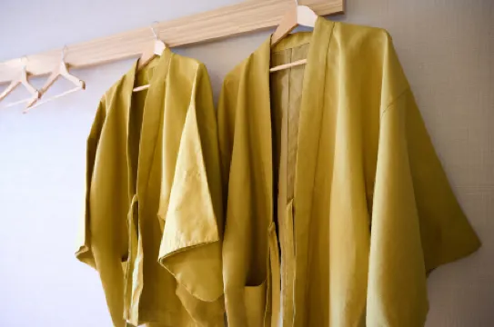 Royal Hotel Kawaguchiko Отели рядом с достопримечательностью «Oike Park»