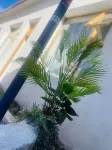 Jinse Shanfang · San Guniang Boutique Stay (Tekes Bagua City Lijie)
