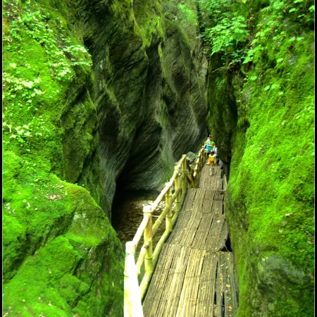 Blossom Land Zhongnan Mountain Villge
