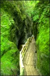 Blossom Land Zhongnan Mountain Villge - Mountain view